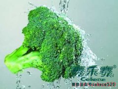 研究表明：肥胖患者易引发患食管癌